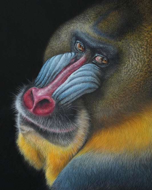Mandrill - Original Acrylbild