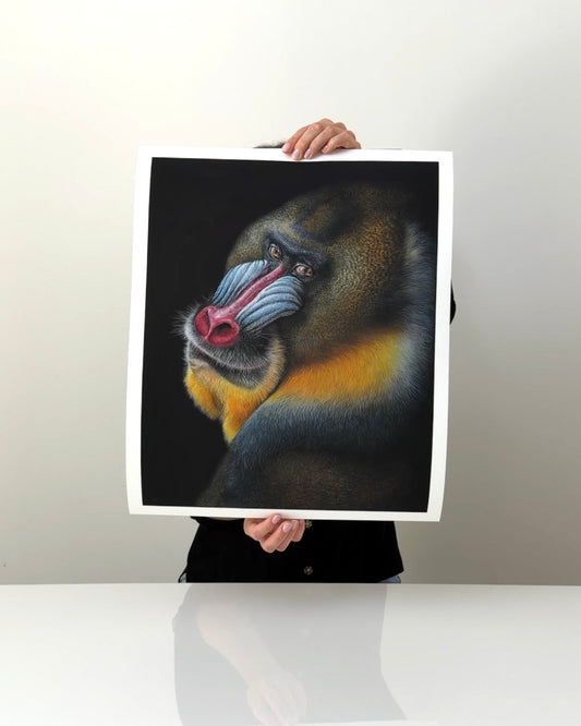 MANDRILL - Kunstdruck
