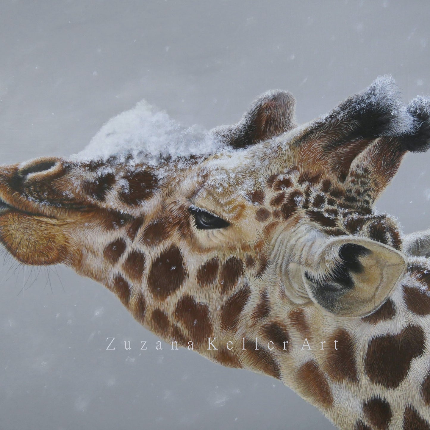 DIE ABKÜHLUNG - Original Acrylbild