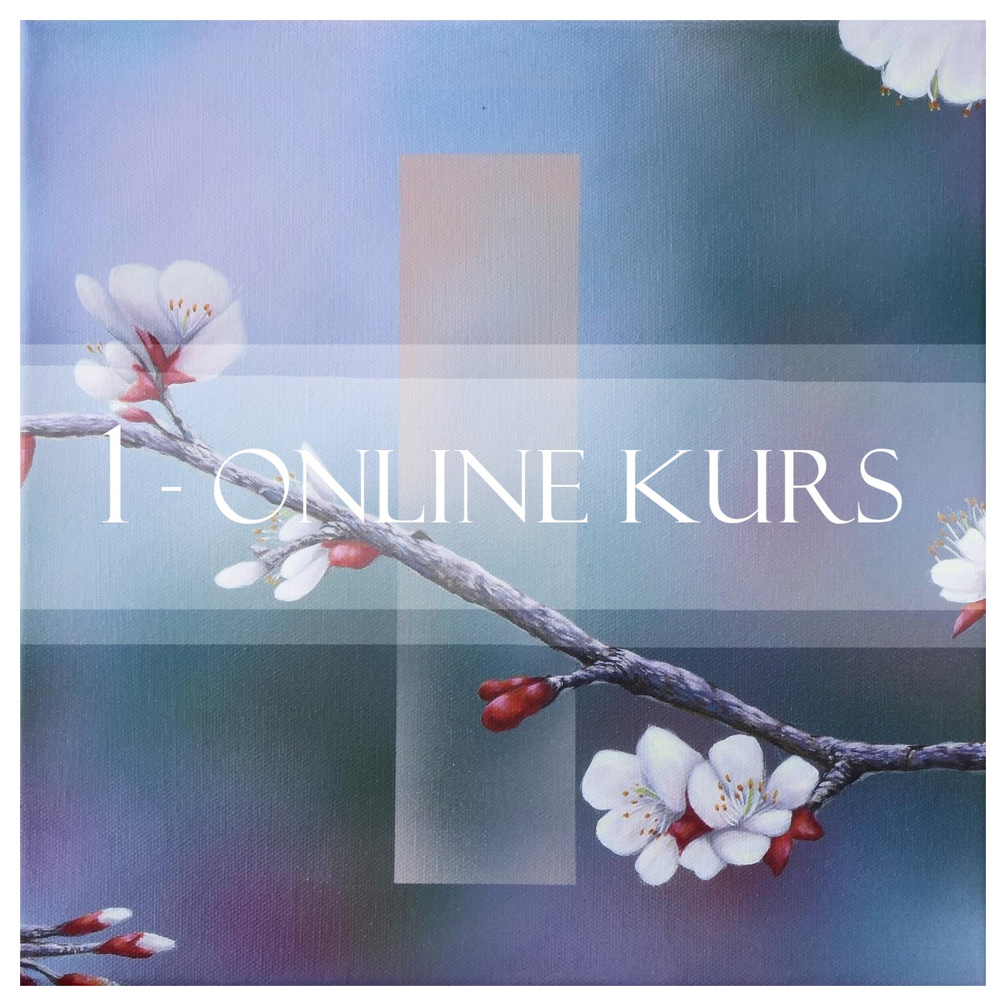 1 - Individueller Online Workshop 1x50 Minuten