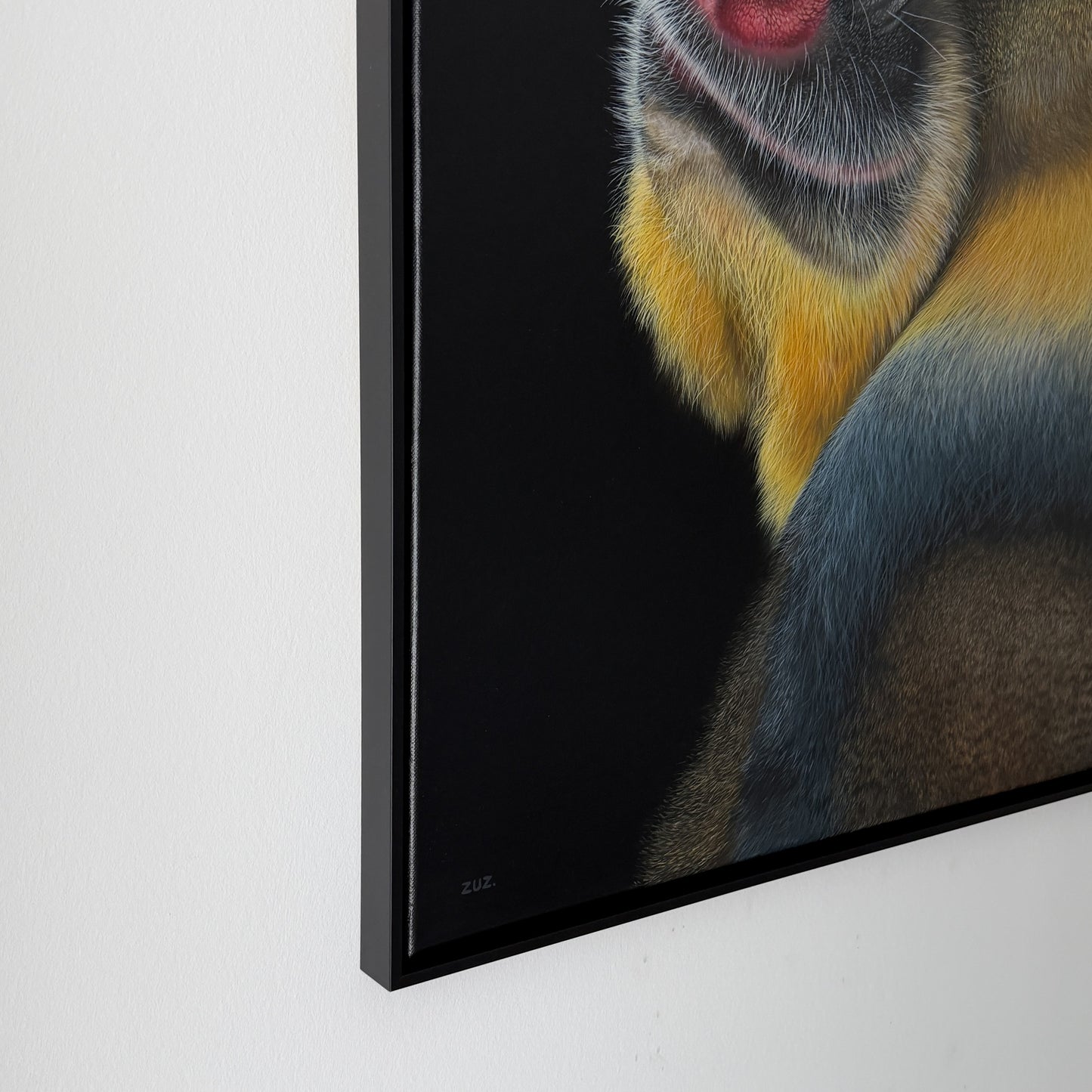 MANDRILL