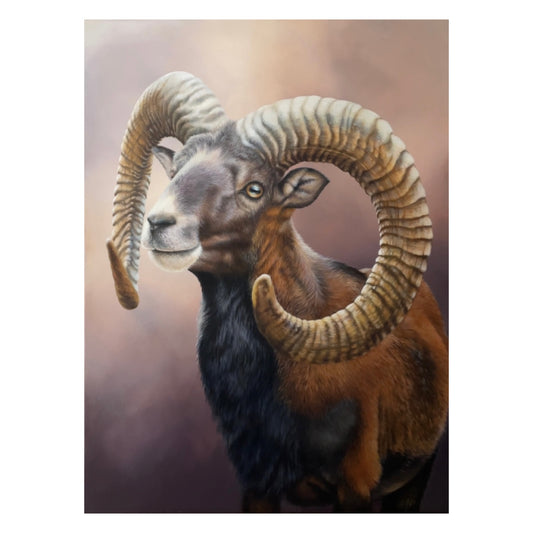 MUFFLON - Original Acrylbild (aktuell ausgestellt)