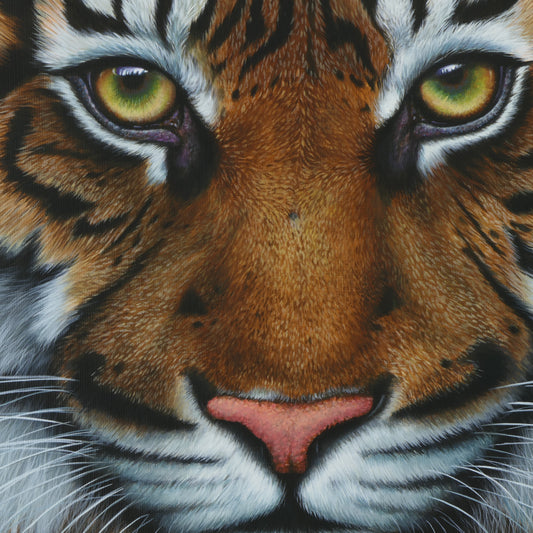 TIGER - Original Acrylbild