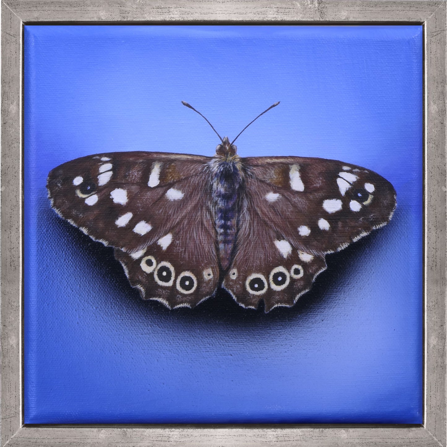 Schmetterling Brownie - Original Acrylbild