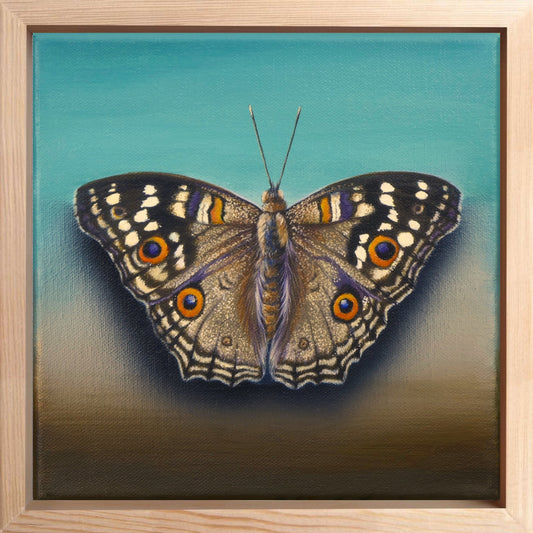 Schmetterling Dark Coffee - Original Acrylbild