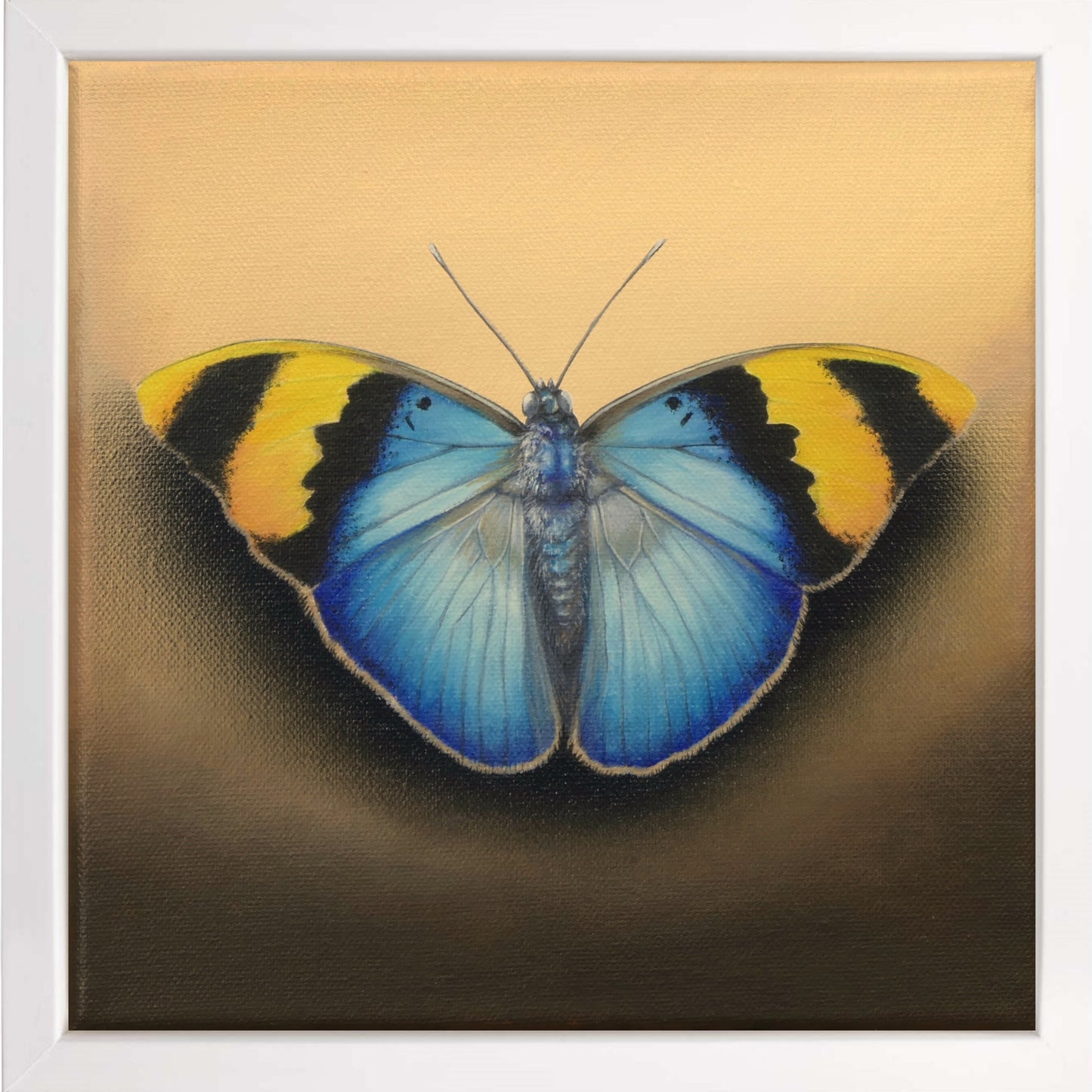 Schmetterling Donut - Original Acrylbild