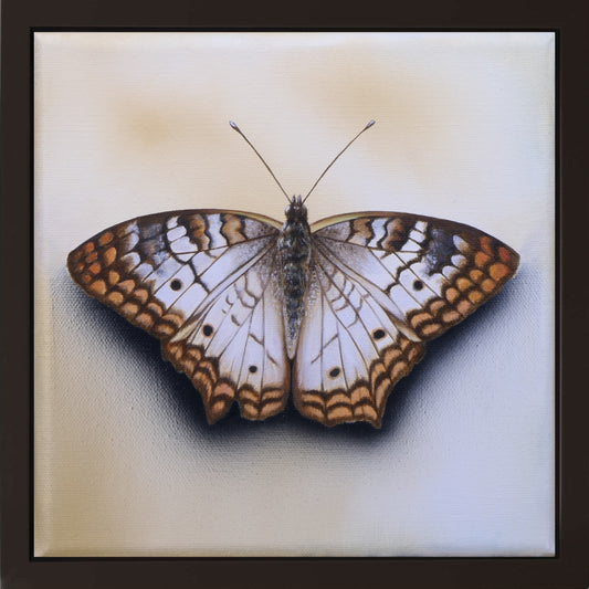 Schmetterling Cinamonn Roll - Original Acrylbild