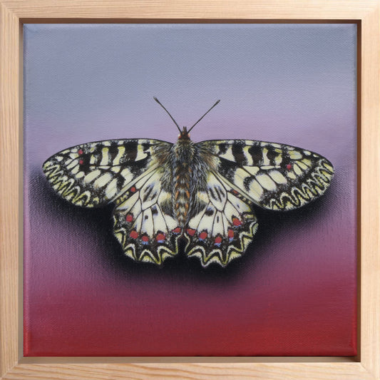 Schmetterling Strawberry Cupcake - Original Acrylbild