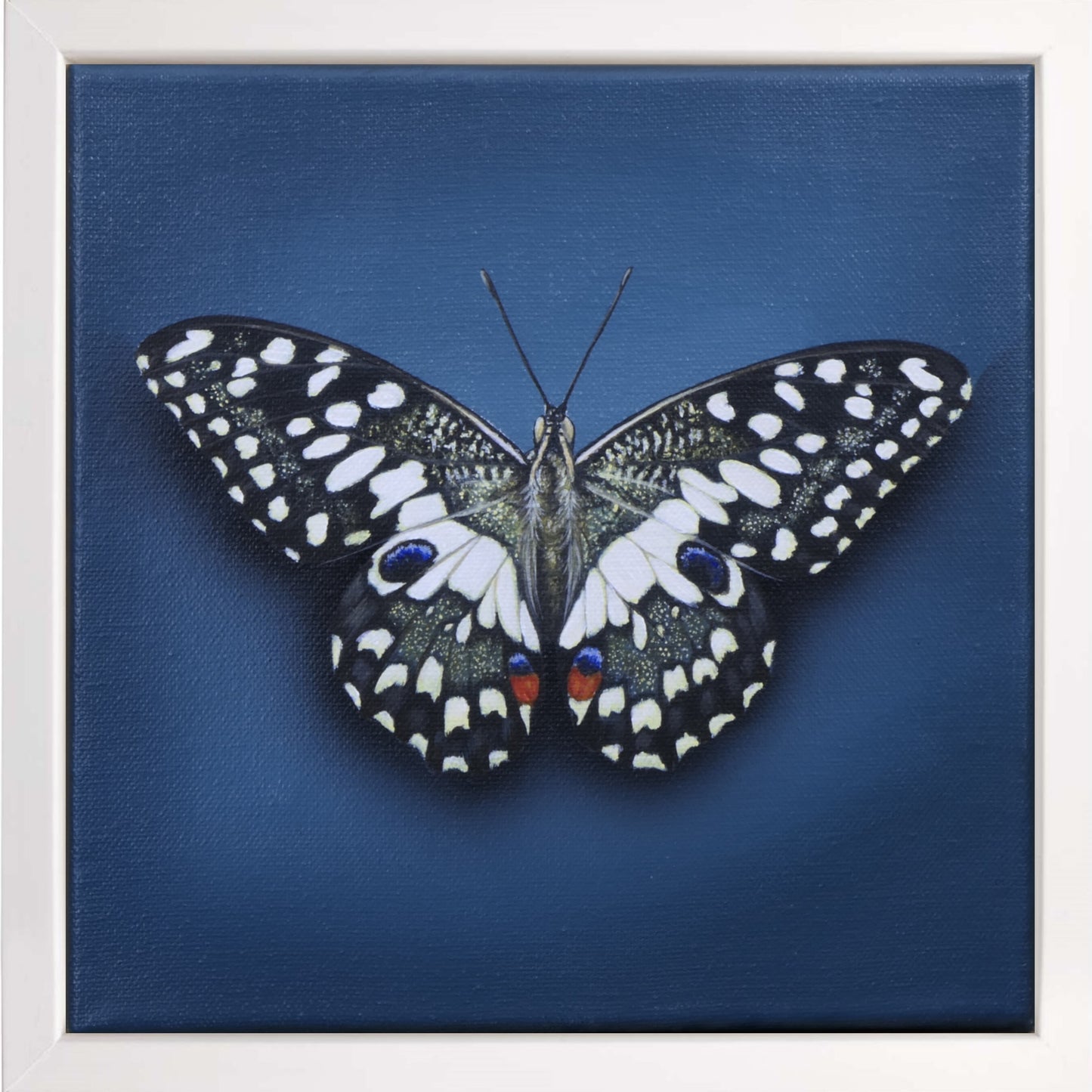 Schmetterling Vanilla Pudding - Original Acrylbild