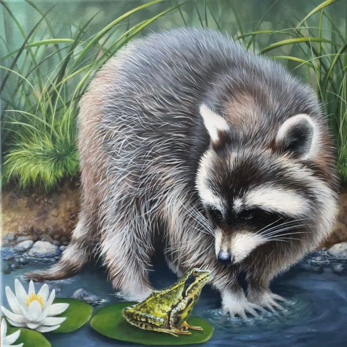 WASCHBÄR UND FROSCH - Original Acrylbild