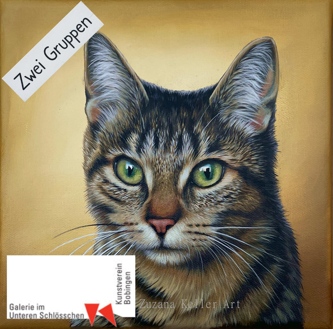 Kurs Fokus KATZE 10-11/26