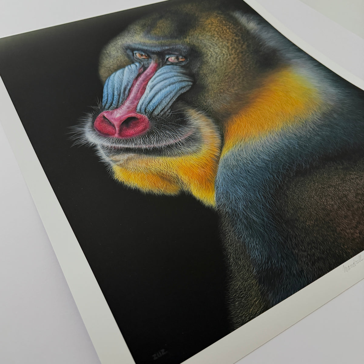 MANDRILL - Kunstdruck