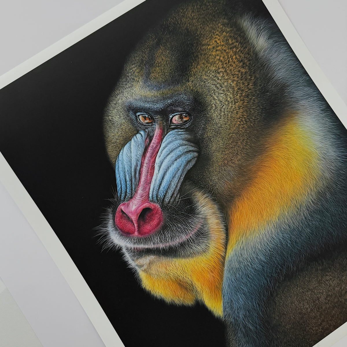 MANDRILL - Kunstdruck