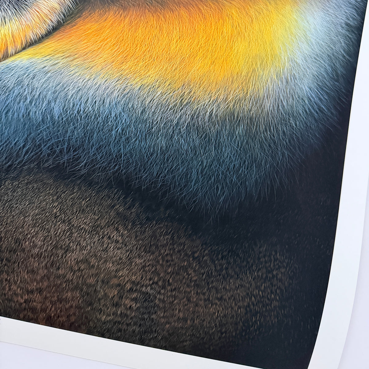 MANDRILL - Kunstdruck