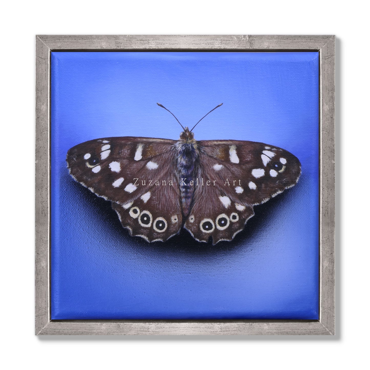 Schmetterling Brownie - Original Acrylbild