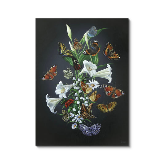BUTTERFLY STUDY (ausgestellt)