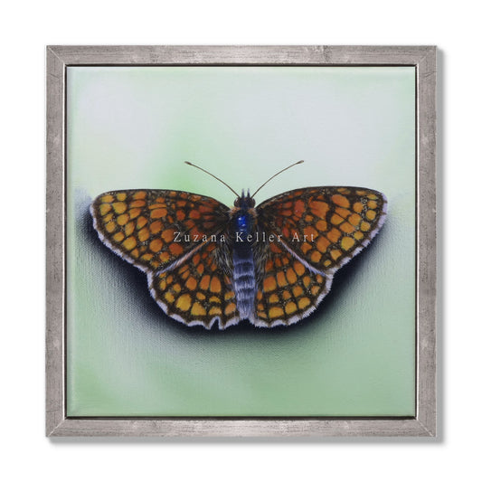 Schmetterling Caramel - Original Acrylbild