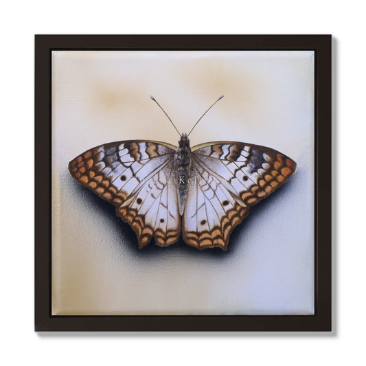 Schmetterling Cinamonn Roll - Original Acrylbild