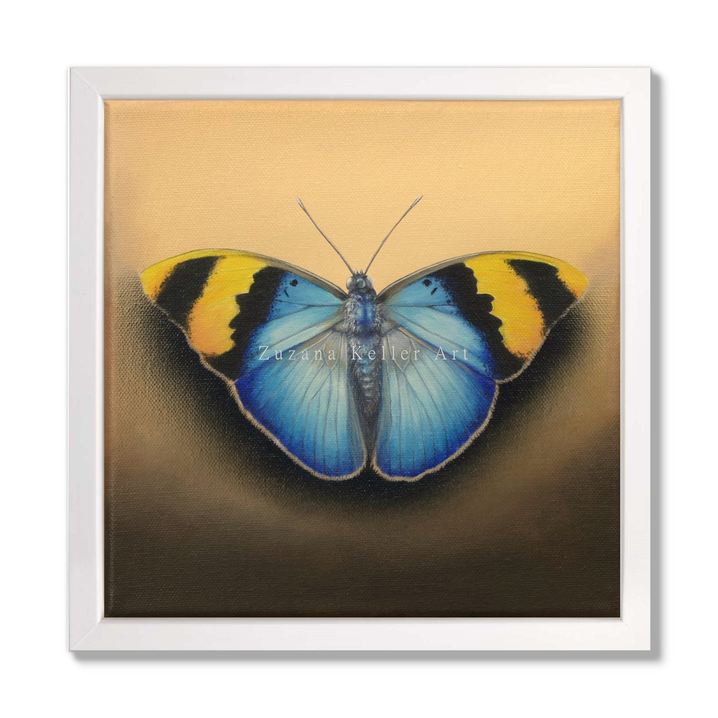 Schmetterling Donut - Original Acrylbild