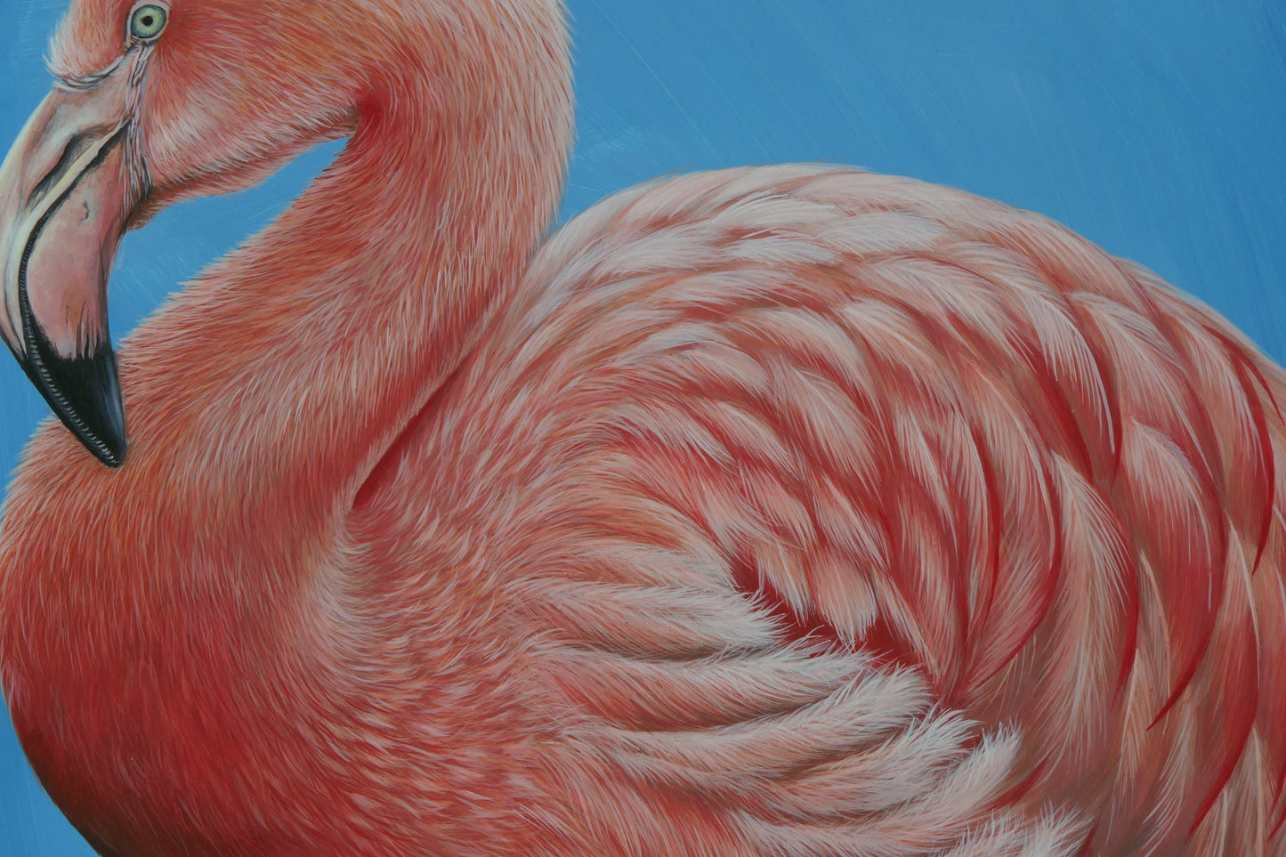 Flamingo - Original Acrylbild