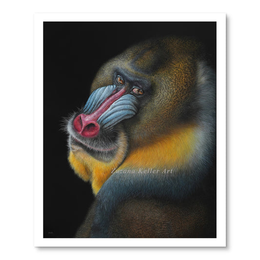 MANDRILL - Kunstdruck