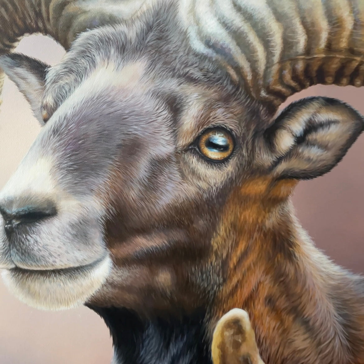 MUFFLON - Original Acrylbild