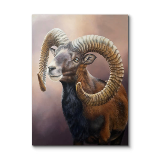 MUFFLON - Original Acrylbild (aktuell ausgestellt)