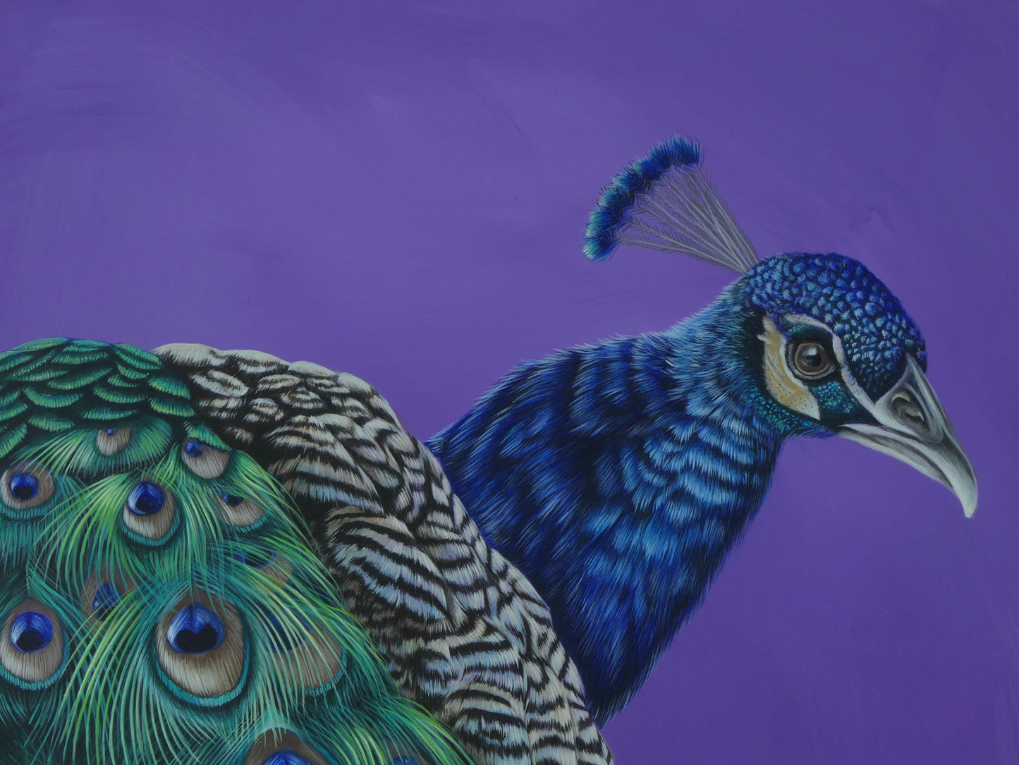 Pfau - Original Acrylbild