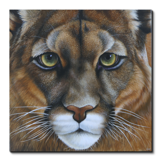 PUMA - Original Acrylbild