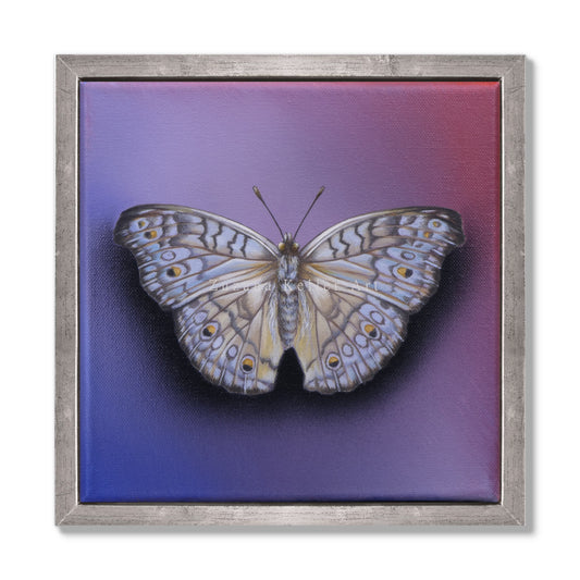 Schmetterling Raspberry Mousse - Original Acrylbild