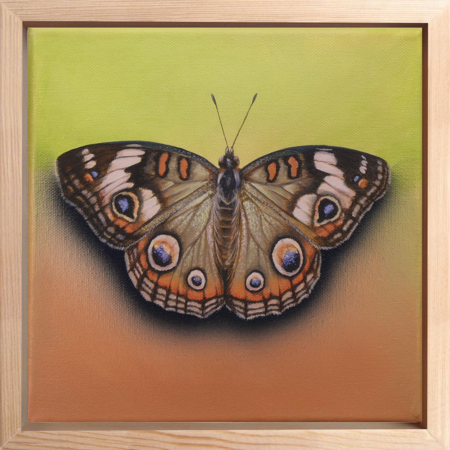 Schmetterling Gingerbread- Original Acrylbild