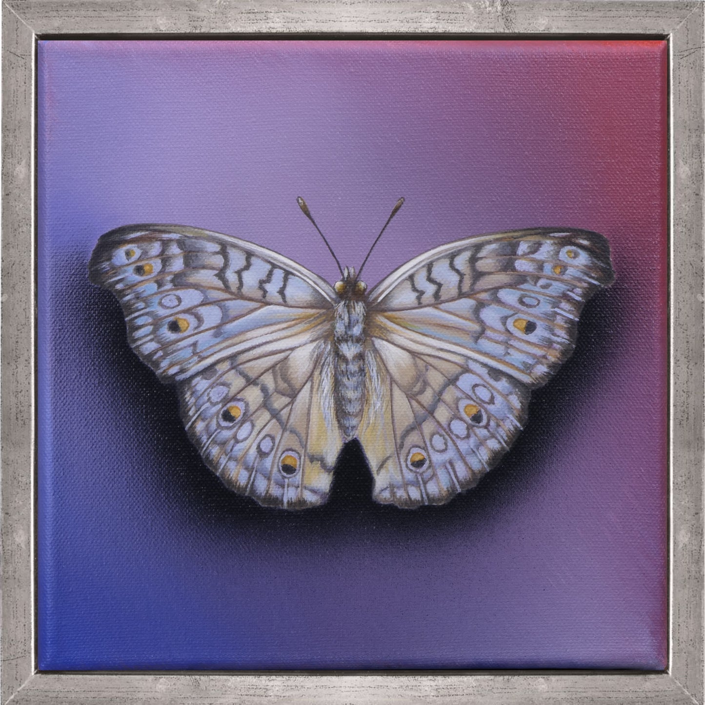 Schmetterling Raspberry Mousse - Original Acrylbild