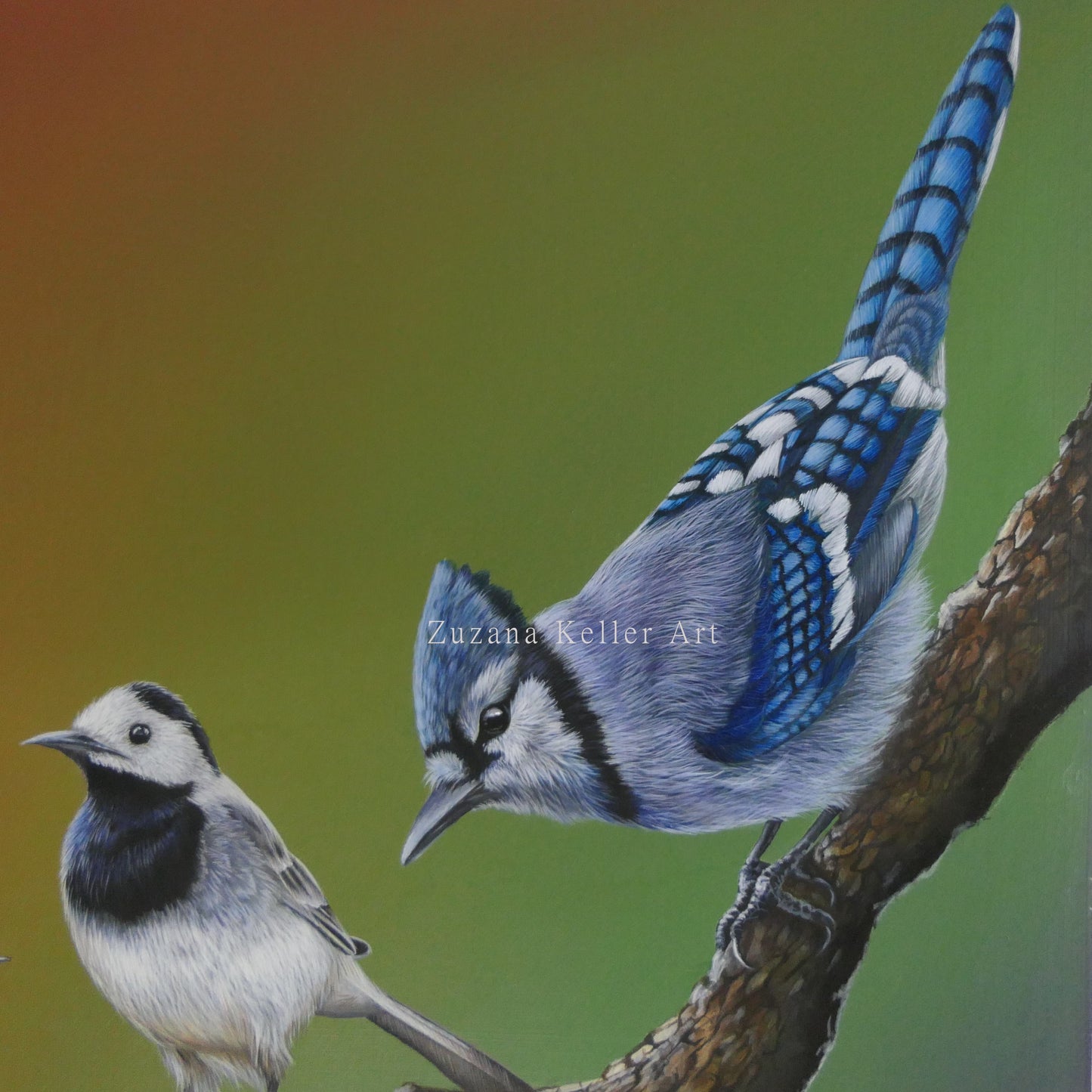 SCHWARZ & WEIß - Original Acrylbild