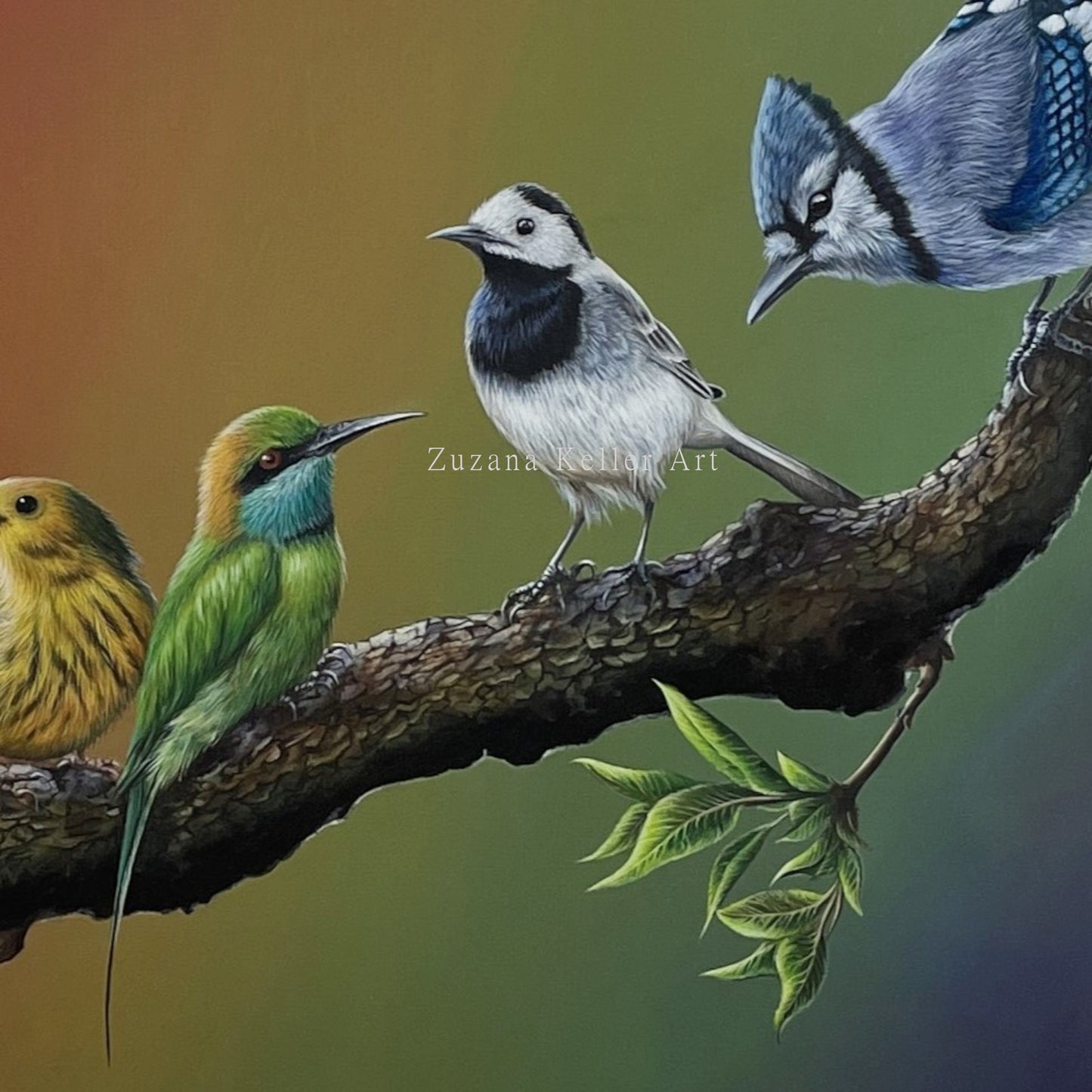 SCHWARZ & WEIß - Original Acrylbild