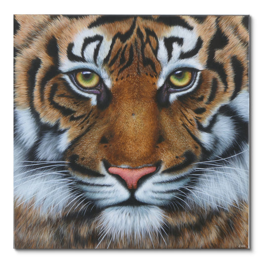 TIGER - Original Acrylbild