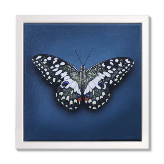 Schmetterling Vanilla Pudding - Original Acrylbild