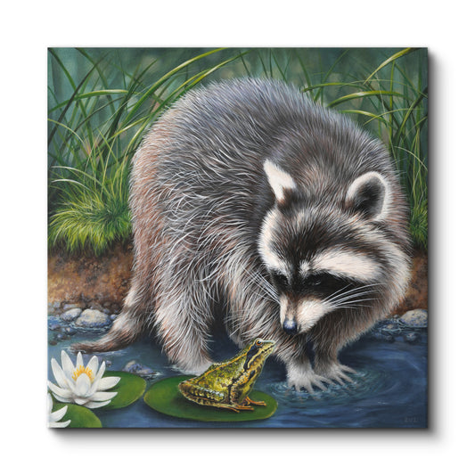 WASCHBÄR UND FROSCH
