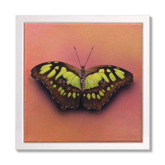 Schmetterling Watermelon Smoothie - Original Acrylbild