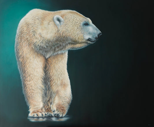 Zuzana_Keller_Tom Eisbär